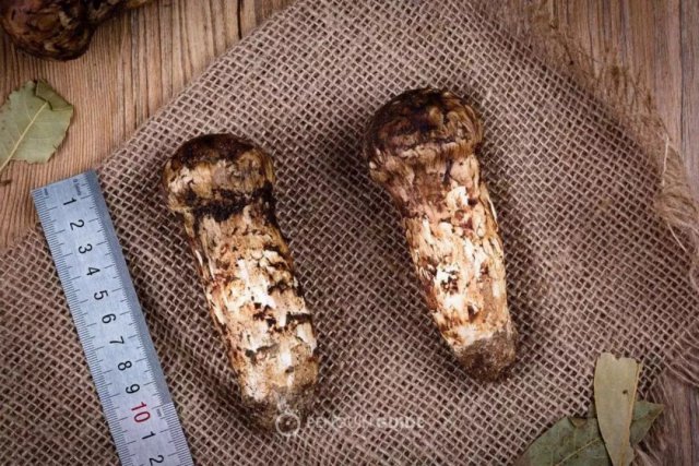 原创 精选美食:麻辣牛杂锅,凉拌牛百叶,黄瓜拌油条,咖喱牛腩的做法:英亚官方网站(图2) 英亚官方网站