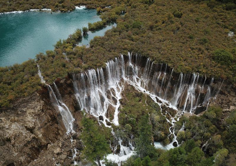 英亚官网首页_春季美食推荐：土豆茄子、酱香茶树菇、泡椒炒香干的做法