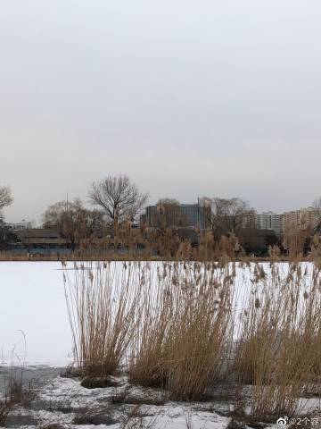 凉皮最过瘾吃法的做法_凉皮最过瘾吃法,做法简单两碗不够吃_凉皮最过瘾吃法怎么做_摩西膳坊GODOFMERCY的菜谱“英亚官网首页”(图2) 英亚官网首页