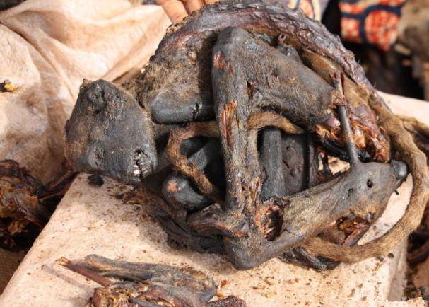 宝宝版鲜嫩虾丸的做法_宝宝版鲜嫩虾丸怎么做_一日五餐辅食的菜谱【英亚官方网站】